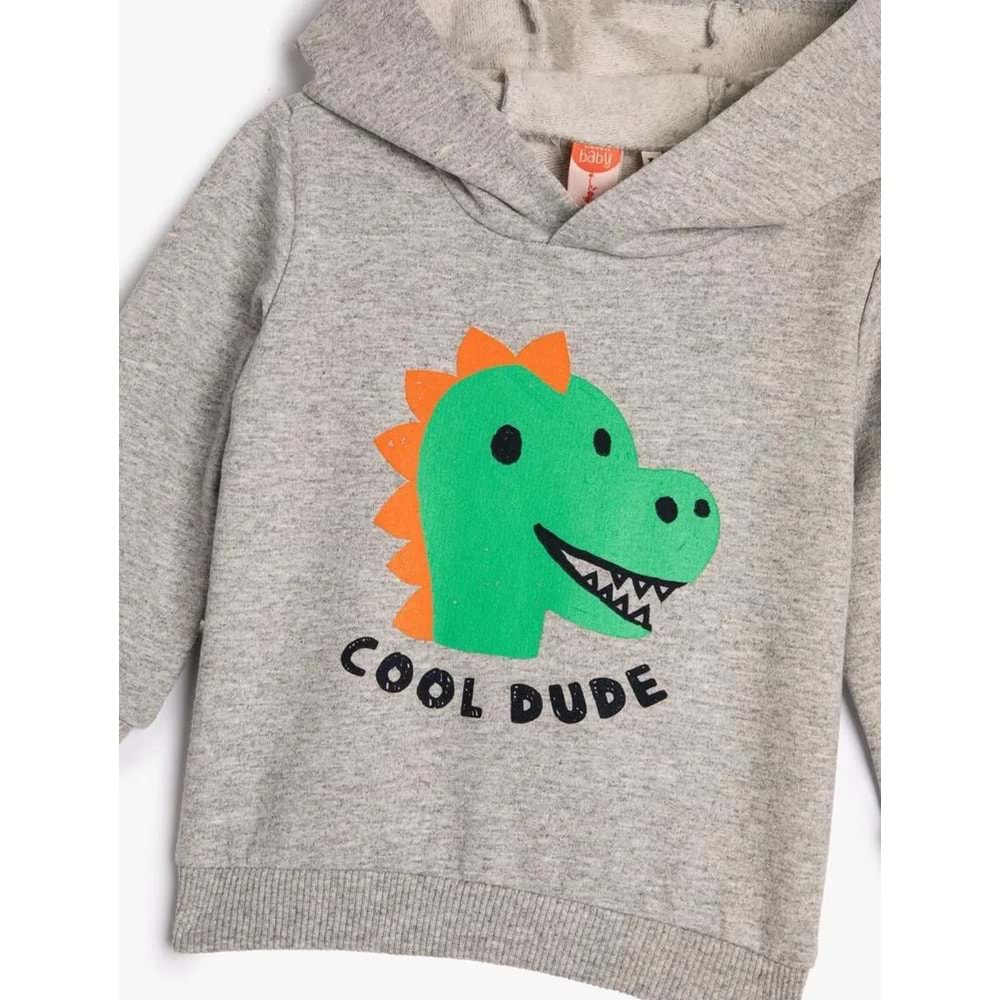 Erkek Bebek Kapşonlu Sweatshirt Şardonlu Dinozor Baskılı