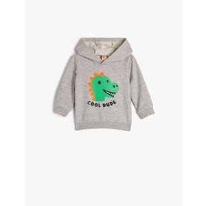 Erkek Bebek Kapşonlu Sweatshirt Şardonlu Dinozor Baskılı