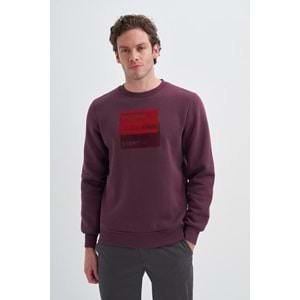 CAZ 5066 3 İPLİK SWEAT 24KCEEO05066