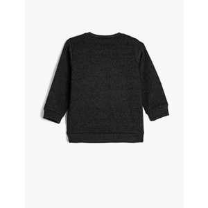 Erkek Çocuk Sweatshirt Uzun Kollu Kaplan Baskılı 5WKB10212TK