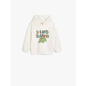 Erkek Bebek Kapşonlu Sweatshirt - 5WMB10031TK - 9-12 AY - ST00007484-418219