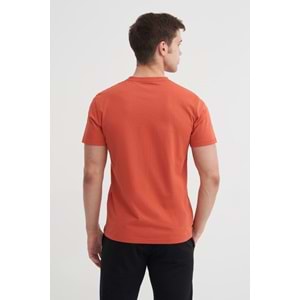 CAZ 4043 BIS YK T-SHIRT
