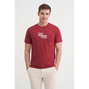 CAZ 4166 BIS YK T-SHIRT