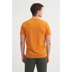 CAZ 4166 BIS YK T-SHIRT