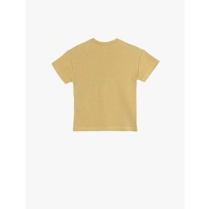 Erkek Bebek Pamuklu Kaktüs Nakış Detaylı Dokulu Tişört 5SMB10104TK - KOTON - HAKİ - 18-24 AY