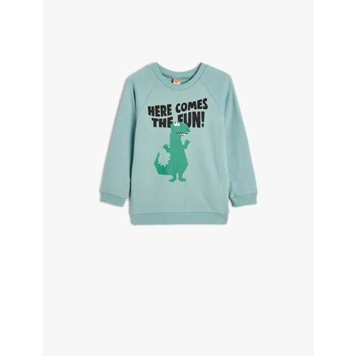 Erkek Bebek Dinozorlu Sweat