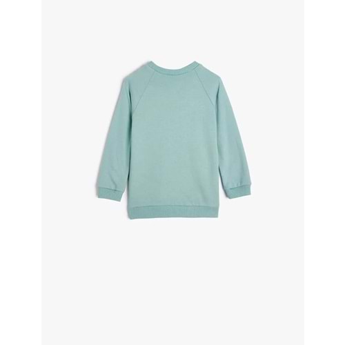 Erkek Bebek Dinozorlu Sweat