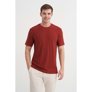 CAZ 4203 BIS YK T-SHIRT